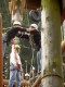Thumbs/tn_Pict2953.jpg
