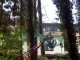 Thumbs/tn_Pict2991.jpg