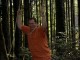 Thumbs/tn_Pict2996.jpg