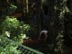 Thumbs/tn_Pict3006.jpg