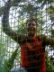 Thumbs/tn_Pict3015.jpg
