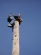Thumbs/tn_Pict3024.jpg
