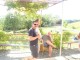 Thumbs/tn_DSC03217.jpg