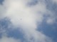 Thumbs/tn_DSC03287.jpg