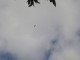 Thumbs/tn_DSC03288.jpg