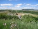 Thumbs/tn_DSC06645.jpg