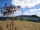 Thumbs/tn_DSC06654.jpg