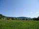 Thumbs/tn_DSC06715.jpg