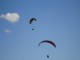 Thumbs/tn_DSC06720.jpg