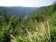 Thumbs/tn_DSC06726.jpg