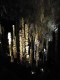 Thumbs/tn_DSC06734.jpg