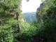 Thumbs/tn_DSC06746.jpg